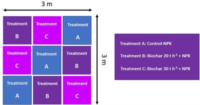 Indigenously produced biochar retains fertility in sandy soil through unique microbial diversity sustenance: a step toward the circular economy